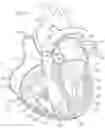 Fig. 02 - Assembly of heart valves and intermediate adapter stent
