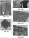 Fig. 07 - Expanding, conforming interbody spacer