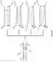 Fig. 18 - Spinal fusion device with staged expansion