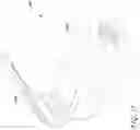 Fig. 27 - Spinal implant device