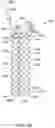Fig. 10 - Repositionable and removable stents