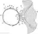 Fig. 01 - Instruments For Removing Debris From An Eye