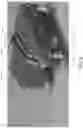 Fig. 09 - Direct diode laser module for delivering pulsed visible green laser energy