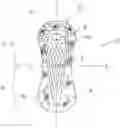 Fig. 01 - ADAPTABLE ABSORBENT ARTICLES