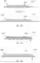 Fig. 08 - ABSORBENT ARTICLE WITH WAISTBAND