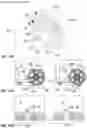 Fig. 35 - Stair traversing device