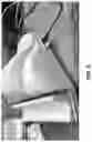 Fig. 06 - LYMPHATIC WAVE SYSTEM