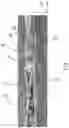 Fig. 09 - Fibrous structures containing polymer matrix particles with perfume ingredients