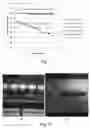 Fig. 02 - Concentrate comprising at least one mannosylerythritol lipid and at least one polyglycerol and fatty acid ester