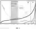Fig. 02 - Soft chews with low water activity and methods of manufacturing same