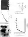 Fig. 10 - Composition and methods for the treatment of peripheral nerve injury