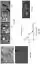 Fig. 11 - Composition and methods for the treatment of peripheral nerve injury