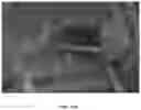 Fig. 14 - Composition and methods for the treatment of peripheral nerve injury