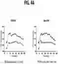 Fig. 05 - COMPOSITIONS AND METHODS FOR TREATING METABOLIC DISORDERS