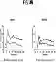 Fig. 06 - COMPOSITIONS AND METHODS FOR TREATING METABOLIC DISORDERS