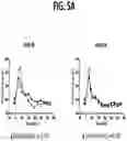 Fig. 08 - COMPOSITIONS AND METHODS FOR TREATING METABOLIC DISORDERS