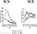 Fig. 11 - COMPOSITIONS AND METHODS FOR TREATING METABOLIC DISORDERS