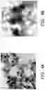 Fig. 07 - Hybrid hydrogel and method of fabricating the same