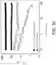 Fig. 10 - Hybrid hydrogel and method of fabricating the same