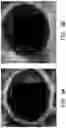 Fig. 15 - Hybrid hydrogel and method of fabricating the same