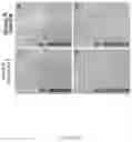 Fig. 09 - Method for the treatment of fatty liver disease