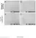 Fig. 10 - Method for the treatment of fatty liver disease