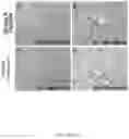 Fig. 11 - Method for the treatment of fatty liver disease