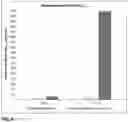 Fig. 07 - Compositions and methods for increasing the metabolic lifetime of dextromethorphan and related pharmacodynamic effects