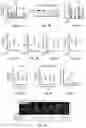 Fig. 03 - Compositions and methods for promoting bone regeneration