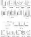 Fig. 08 - Compositions and methods for promoting bone regeneration