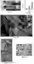 Fig. 13 - Compositions and methods for promoting bone regeneration