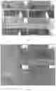 Fig. 06 - Preparation and Anti-HepG2 Application for Urushiol-Based pH Response Micelle Encapsulating Paclitaxel