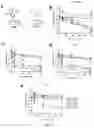 Fig. 06 - Methods, agents, and compositions for the treatment of acute myeloid leukemia