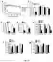 Fig. 15 - Methods, agents, and compositions for the treatment of acute myeloid leukemia
