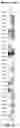 Fig. 17 - Methods, agents, and compositions for the treatment of acute myeloid leukemia