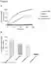 Fig. 05 - Compounds and compositions that bind and stabilize transthyretin and their use for inhibiting transthyretin amyloidosis and protein-protein interactions
