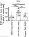 Fig. 01 - NEW METHODS FOR THE TREATMENT OF MULTIPLE SCLEROSIS