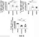 Fig. 06 - NEW METHODS FOR THE TREATMENT OF MULTIPLE SCLEROSIS