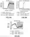 Fig. 09 - NEW METHODS FOR THE TREATMENT OF MULTIPLE SCLEROSIS