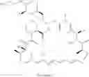 Fig. 02 - PHARMACEUTICAL COMPOSITION OF EVEROLIMUS
