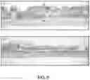 Fig. 06 - METHOD FOR TREATMENT OF DISEASE CAUSED OR AGGRAVATED BY MICROORGANISMS OR RELIEVING SYMPTOMS THEREOF