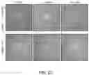 Fig. 23 - METHOD FOR TREATMENT OF DISEASE CAUSED OR AGGRAVATED BY MICROORGANISMS OR RELIEVING SYMPTOMS THEREOF