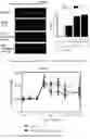 Fig. 04 - Use of pridopidine to improve cognitive function and for treating Alzheimer's disease