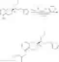 Fig. 13 - Subcutaneous delivery of polymer conjugates of therapeutics agents