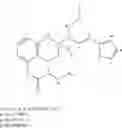 Fig. 20 - Subcutaneous delivery of polymer conjugates of therapeutics agents