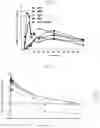Fig. 02 - Liquid naloxone spray