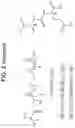 Fig. 07 - Pemetrexed Polymeric Nanoparticles And Methods Of Making And Using Same