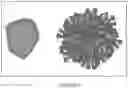 Fig. 08 - COMPOSITIONS FOR DELIVERING A BIO-ACTIVE AGENT OR BIO-ACTIVE AGENTS