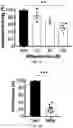 Fig. 09 - METHODS OF TREATING VESTIBULAR SCHWANNOMA