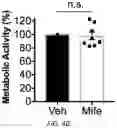 Fig. 12 - METHODS OF TREATING VESTIBULAR SCHWANNOMA
